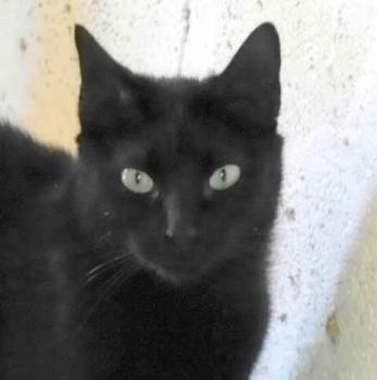 Naomi Bild von Naomi