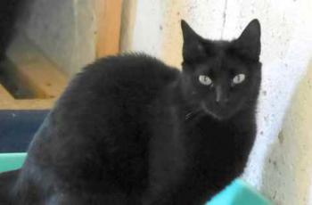 Naomi Bild von Naomi