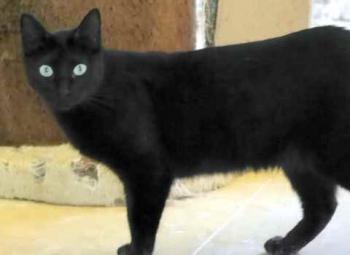 Naomi Bild von Naomi