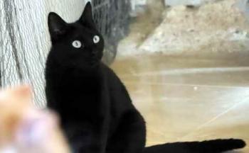 Naomi Bild von Naomi