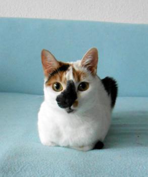 Nena Bild von Nena