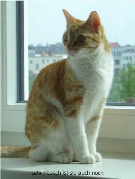 Nuez Bild von Nuez