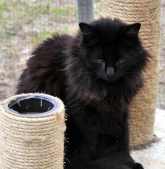 Bild von Caritina