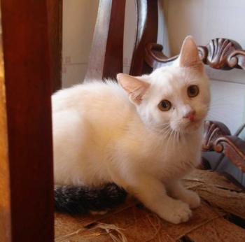Blanca Bild von Blanca