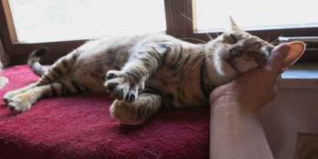 Shelay Bild von Shelay