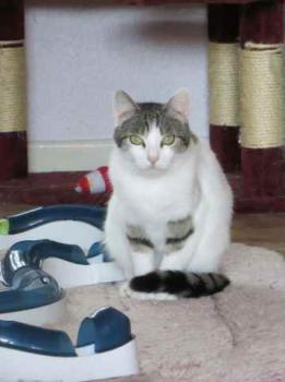 Bild von Trini