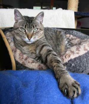 Gipsy-Mimi Bild von Gipsy-Mimi