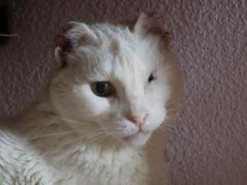 Bild von Yum