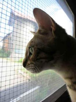Shelay Bild von Shelay