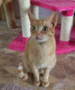 Guzman Bild von Guzman