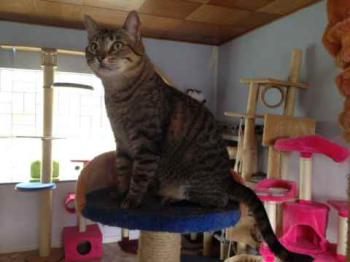 Gipsy-Mimi Bild von Gipsy-Mimi