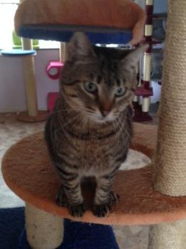 Gipsy-Mimi Bild von Gipsy-Mimi