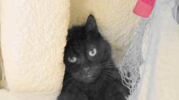 Tafy Bild von Tafy