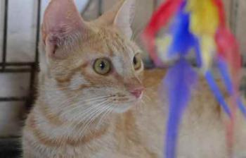 Neila Bild von Neila