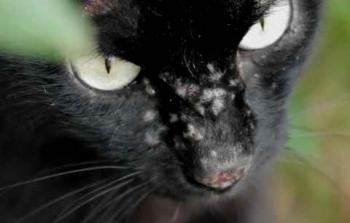 Coddy Bild von Coddy