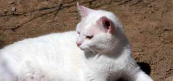 Nieves Bild von Nieves
