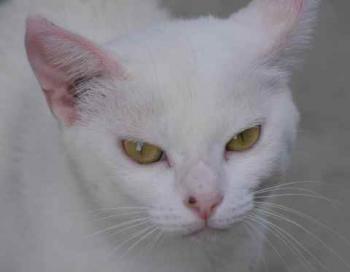 Nieves Bild von Nieves