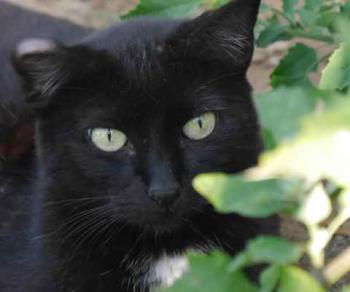 Sally Bild von Sally