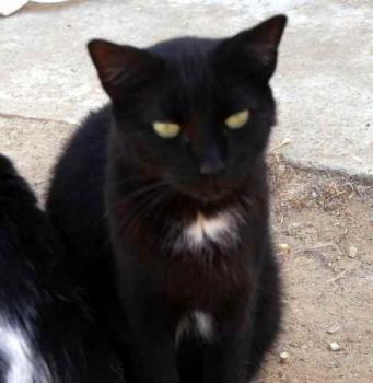 Sally Bild von Sally
