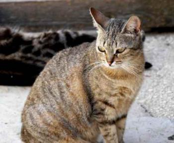 Bild von Inga
