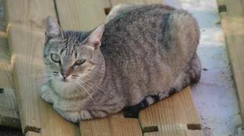 Bild von Inga