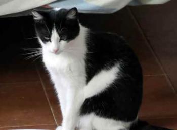 Fenja Bild von Fenja