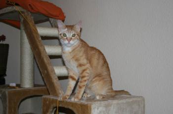Filomeno Bild von Filomeno