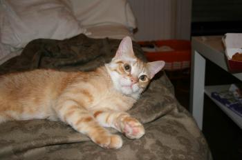 Filomeno Bild von Filomeno