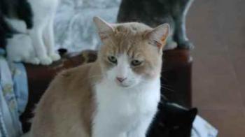 Canelito Bild von Canelito