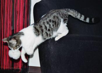 Irina Bild von Irina