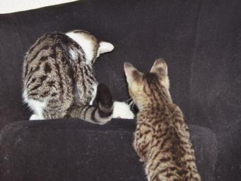 Irina und Llum Bild von Irina