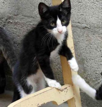 Dayo Bild von Dayo