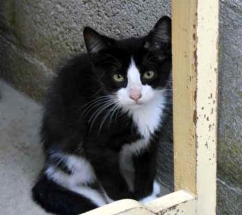 Dayo Bild von Dayo