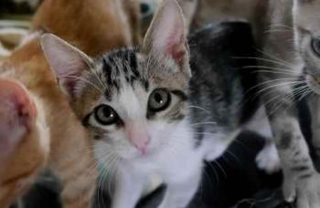 Bild von Cherie