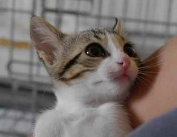Bild von Cherie