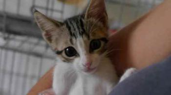 Bild von Cherie