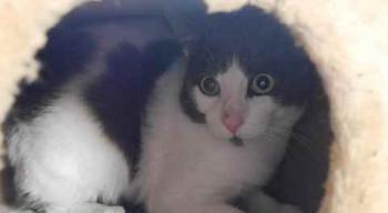 Michael Bild von Michael