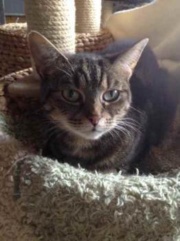 Nala Bild von Nala