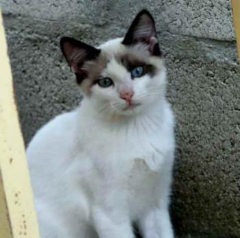Mabhu Bild von Mabhu