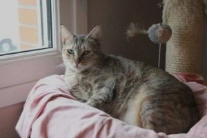 Madelein Bild von Madelein