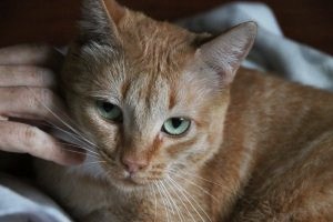 Bild von Mabel