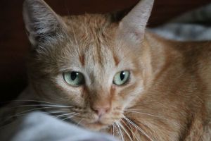 Bild von Mabel