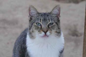 Kevin Bild von Kevin