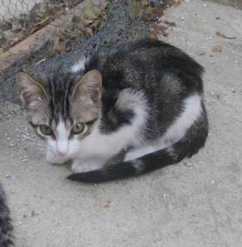Bild von Cherie