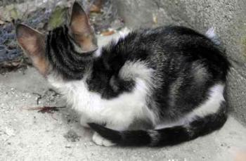 Bild von Cherie
