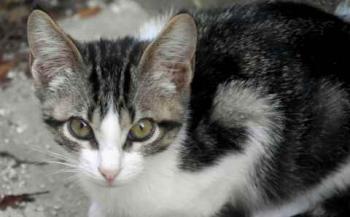Bild von Cherie