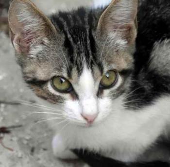Bild von Cherie