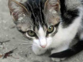 Bild von Cherie