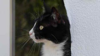 Fe Bild von Fe