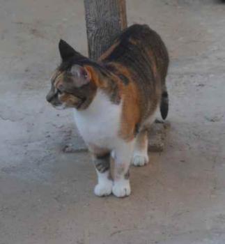 Marie Bild von Marie